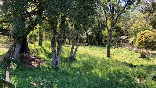 Terreno à venda em Morro Reuter, Morro Reuter - Imobiliária São Miguel