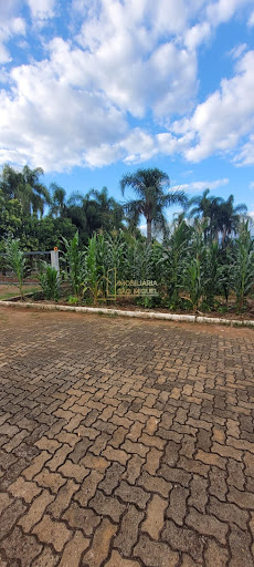 Terreno, 366m², à venda em Dois Irmãos, São João - Imobiliária São Miguel