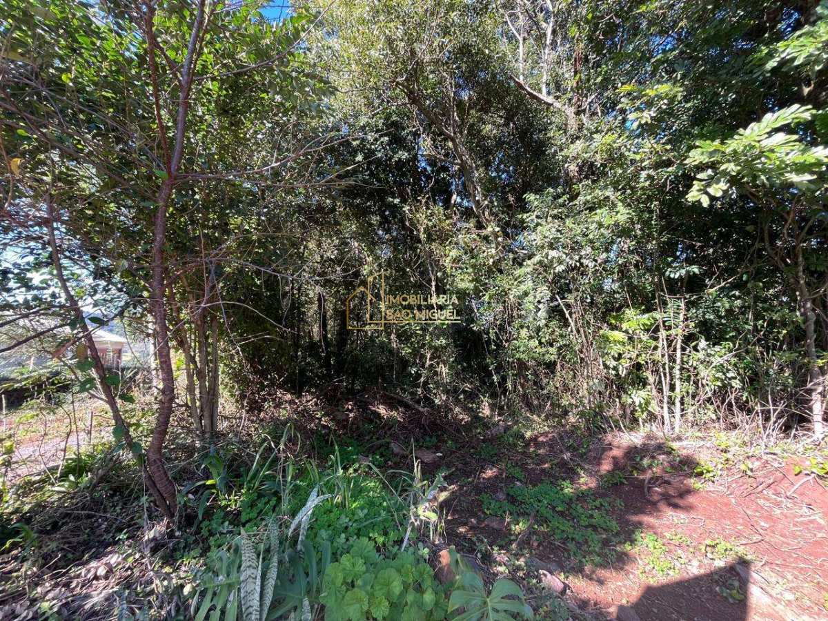 Terreno à Venda no Bairro Vale Esquerdo – Dois Irmãos/RS - Imobiliária São Miguel